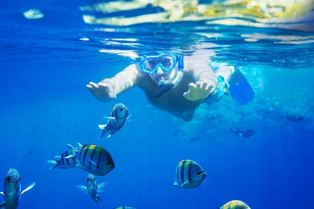 cozumel snorkel tour