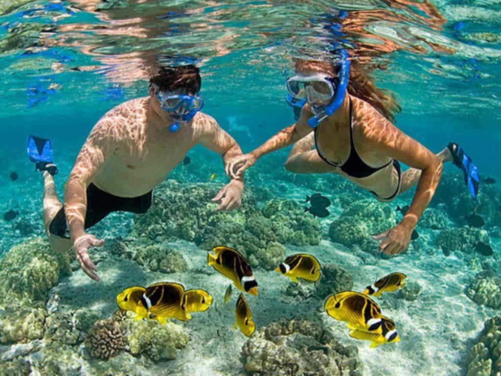 cozumel snorkel tour